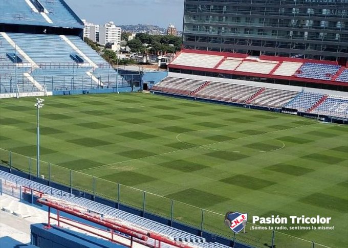 Césped híbrido en suspenso