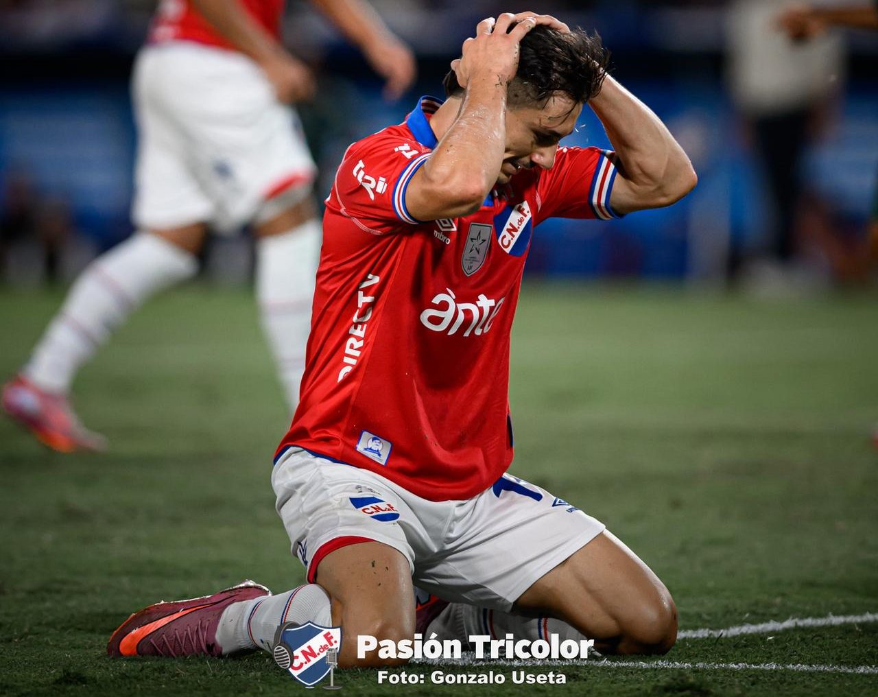 WhatsApp Image 2026-02-14 at 22.24.35