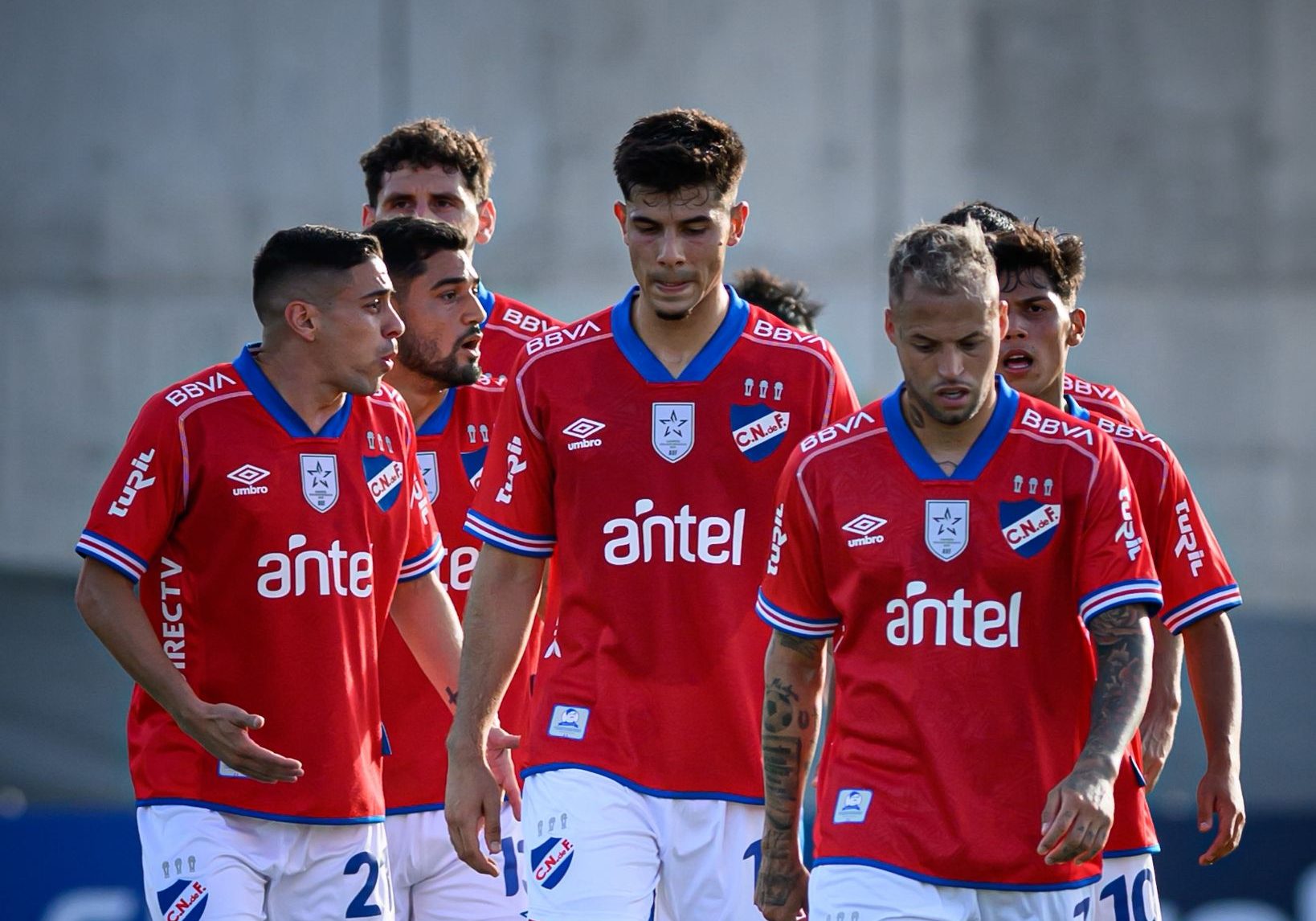 CANDIDO CALIONE DIENTE